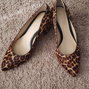 Leopard Pointed-Toe Heels